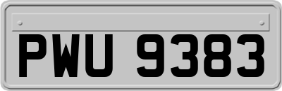 PWU9383