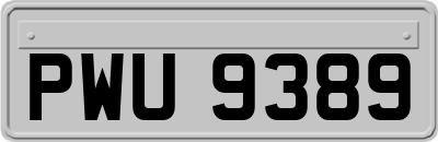 PWU9389