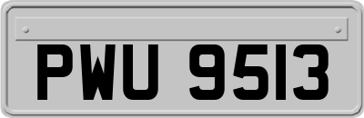 PWU9513