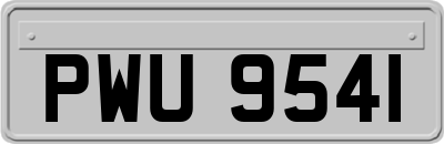 PWU9541