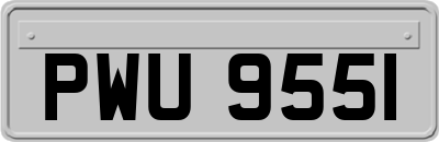 PWU9551