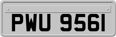 PWU9561