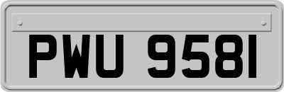 PWU9581