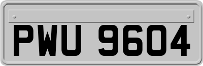 PWU9604