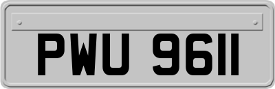 PWU9611