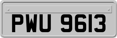 PWU9613