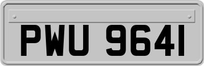 PWU9641