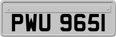 PWU9651
