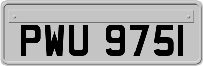 PWU9751