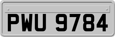 PWU9784