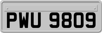 PWU9809