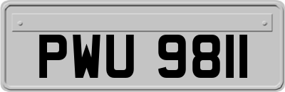 PWU9811