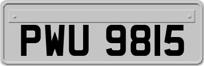 PWU9815