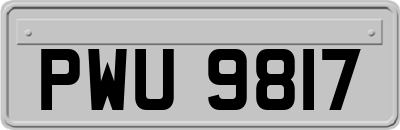 PWU9817