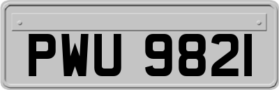 PWU9821