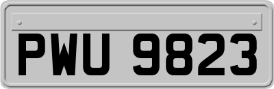 PWU9823