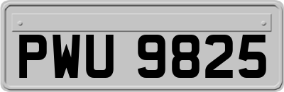 PWU9825