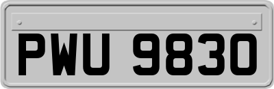 PWU9830