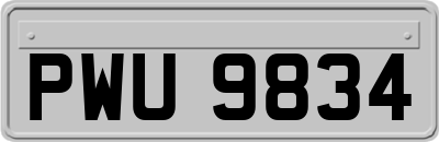 PWU9834