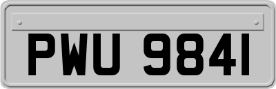 PWU9841