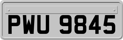 PWU9845