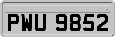 PWU9852