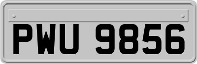 PWU9856