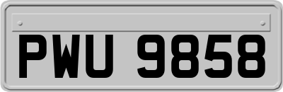 PWU9858