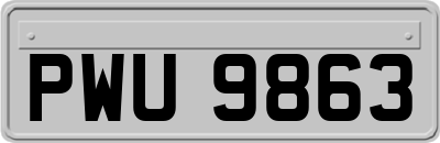 PWU9863