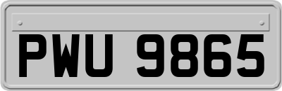 PWU9865