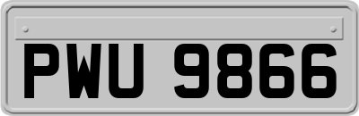 PWU9866