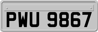 PWU9867