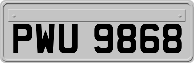 PWU9868