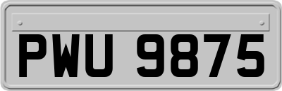 PWU9875