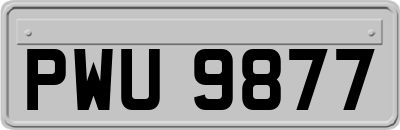 PWU9877