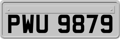 PWU9879