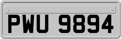 PWU9894