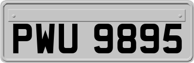 PWU9895