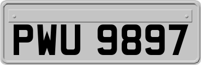 PWU9897