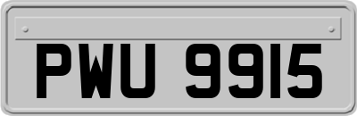 PWU9915