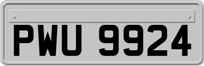 PWU9924