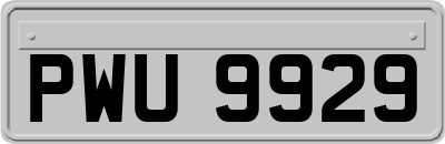 PWU9929