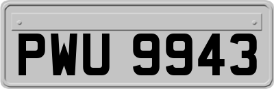 PWU9943