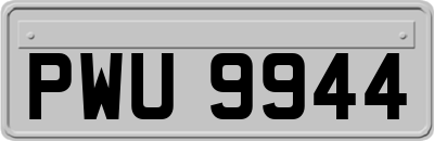 PWU9944