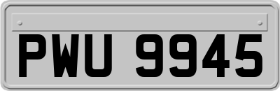 PWU9945