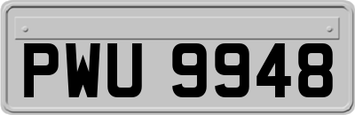 PWU9948