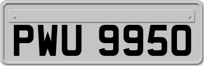 PWU9950