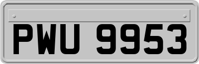 PWU9953