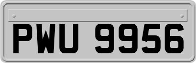 PWU9956