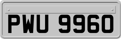 PWU9960